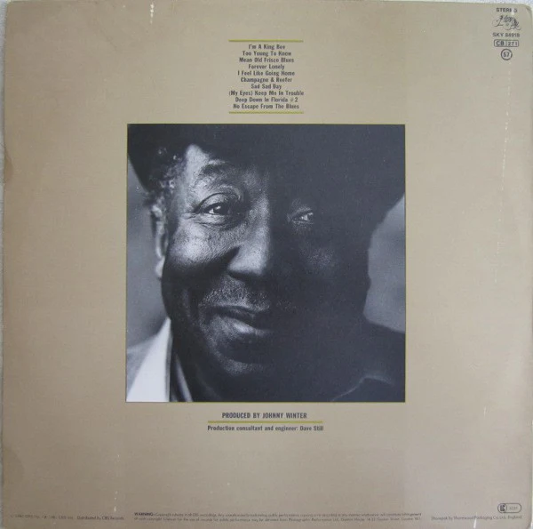 MUDDY WATERS, King Bee (Blue Sky; SKY 84918, UK 1981, Glossy Sleeve, No Insert) LP VG+/VG+ - Image 2
