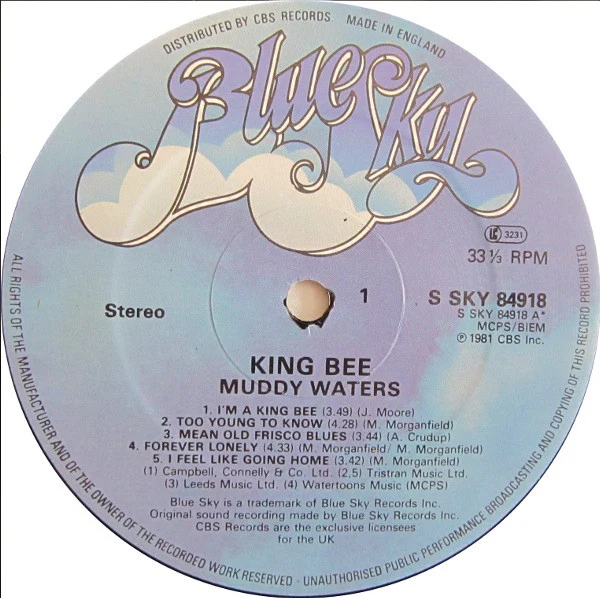 MUDDY WATERS, King Bee (Blue Sky; SKY 84918, UK 1981, Glossy Sleeve, No Insert) LP VG+/VG+ - Image 3