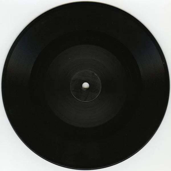 NICK CAVE & THE BAD SEEDS, Animal X (Bad Seed Ltd.; BS004V, UK 2013, Stickered Plastic Sleeve, Limited Edition Picture Disc, Record Store Day 2013) 7" VG/G+ - Image 2