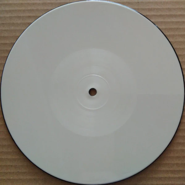 NICK CAVE & WARREN ELLIS, Earthlings (Cave Things; CAVETHINGS007, Worldwide 2022, Stickered Plastic Sleeve, Single Sided Picture Disc) 7" VG+/VG+ - Image 2