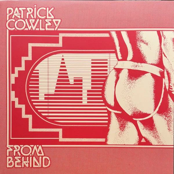 PATRICK COWLEY, From Behind (Dark Entries; DE-333, US 2024, Insert) LP VG+/VG+
