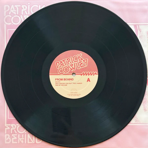 PATRICK COWLEY, From Behind (Dark Entries; DE-333, US 2024, Insert) LP VG+/VG+ - Image 3