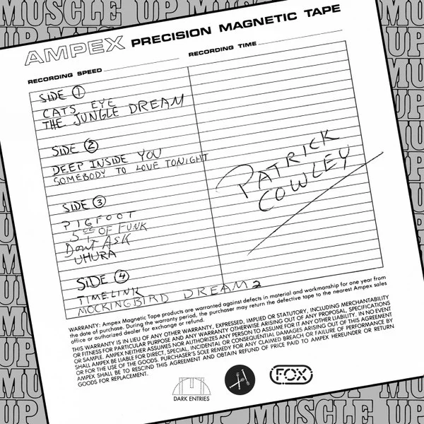 PATRICK COWLEY, Muscle Up (Dark Entries; DE-106, US 2015, 2 Inserts) 2xLP VG+/VG+ - Image 2