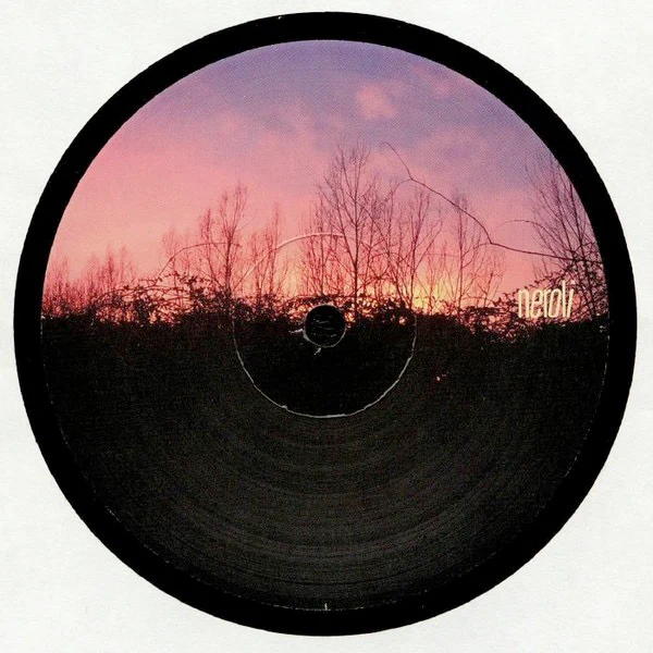 PATRICK GIBIN & KAIDI TATHAM FEAT. JOSH MILAN, Love To The World (Neroli; NERO 049, Italy 2020), SALE - Up to 50% Off the Original Price  LP /VG - Image 2