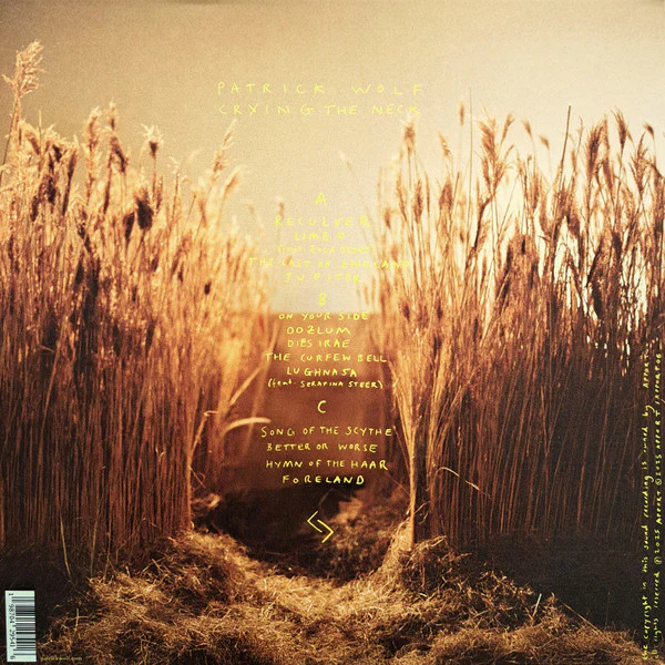 PATRICK WOLF, Crying The Neck (Apport; APPORTLP06, 2025, Gatefold, 2 Inners, Yellow & Brown Vinyl) LP EX/EX - Image 2