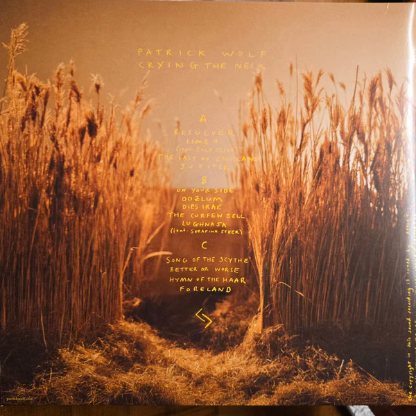 PATRICK WOLF, The Bachelor (Bloody Chamber Music; BCM 2LP, UK 2009, Gatefold In Outer Plastic Sleeve With Hype Sticker, Clear and Yellow, Clear and Brown Radiation Pattern Vinyl) 2xLP EX/EX - Image 2