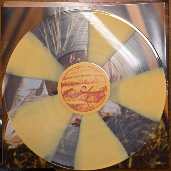PATRICK WOLF, The Bachelor (Bloody Chamber Music; BCM 2LP, UK 2009, Gatefold In Outer Plastic Sleeve With Hype Sticker, Clear and Yellow, Clear and Brown Radiation Pattern Vinyl) 2xLP EX/EX - Image 3