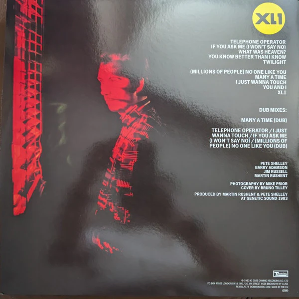 PETE SHELLEY, XL-1 (Domino; REWIGLP173, Worldwide 2025 Reissue, Insert, With Bonus 12") LP VG+/EX - Image 2