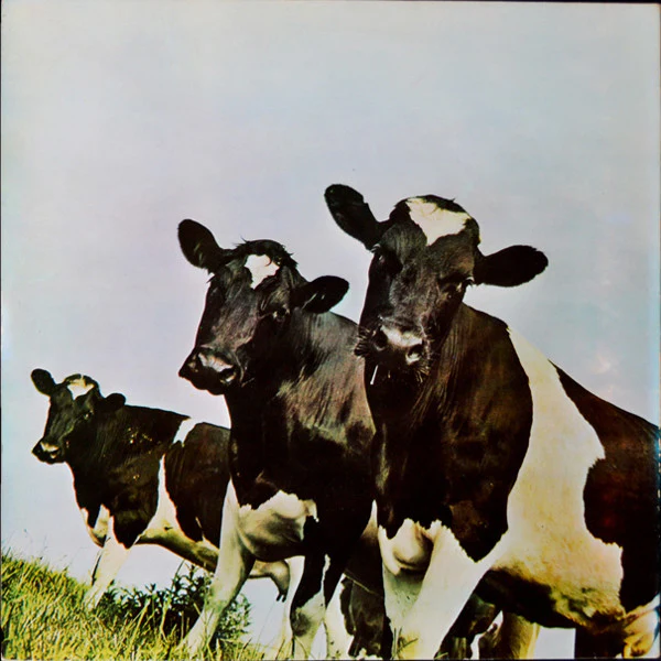 PINK FLOYD, Atom Heart Mother (Harvest; 8E 064-04 550, Portugal 1970, Gatefold, 8E 072 Sticker and Circular V Sticker on inside of Gatefold) LP VG/VG+ - Image 2