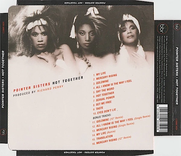 POINTER SISTERS, Hot Together (Big Break Records; CDBBR 0059, UK 2011 Reissue, Super Jewel case) CD EX/EX - Image 2
