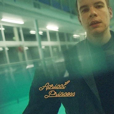 REX ORANGE COUNTY, Apricot Princess (5 Year Anniversary Edition) (RSD 2022) (AWAL Recordings ; AP001LPX, UK 2022, Booklet, RSD, Green Vinyl, Ltd to 4000) LP VG+/VG+