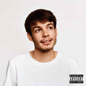 REX ORANGE COUNTY, Pony (Sony Music Entertainment; 19075-98666-1, Europe 2019, Plastic Outer Sleeve, Inner & Insert, Download Code) LP NEW/NEW