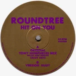 ROUNDTREE, Hit On You (Original Tony Humphries Mix) (Idjut Edit) / Version Idjut (Discfunction; DIS030, UK 2003) 12" /VG