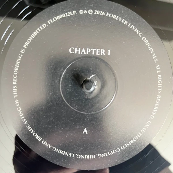 SAULT, Chapter 1 (Forever Living Originals; FLO00022LP, Europe 2026) LP NEW/NEW - Image 3