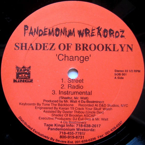 SHADEZ OF BROOKLYN, Change / When It Rains It Pours (Pandemonium / Tape Kingz; SOB 001, US 1996) 12" /VG