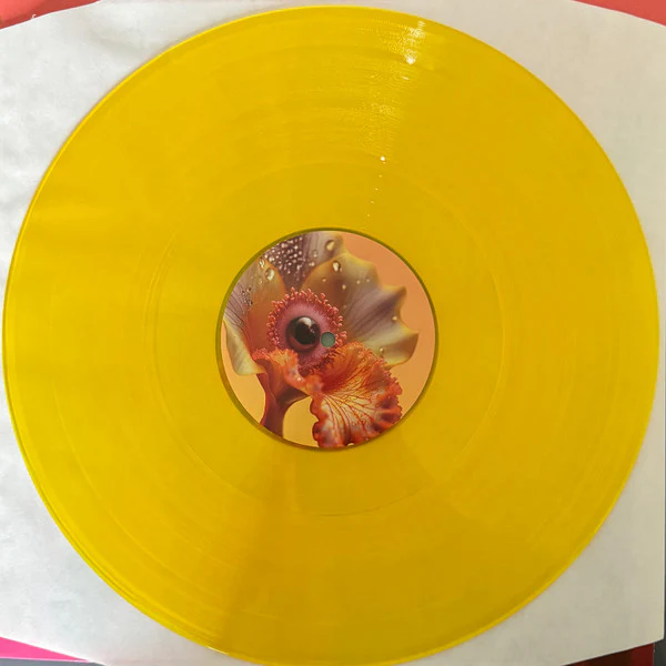 SHYGIRL, Fabric Presents Shygirl (Fabric; fabric219LP, UK 2024, Yellow Translucent Vinyl, Digital Download Card), SALE - Up to 50% Off the Original Price  2xLP EX/VG+ - Image 3