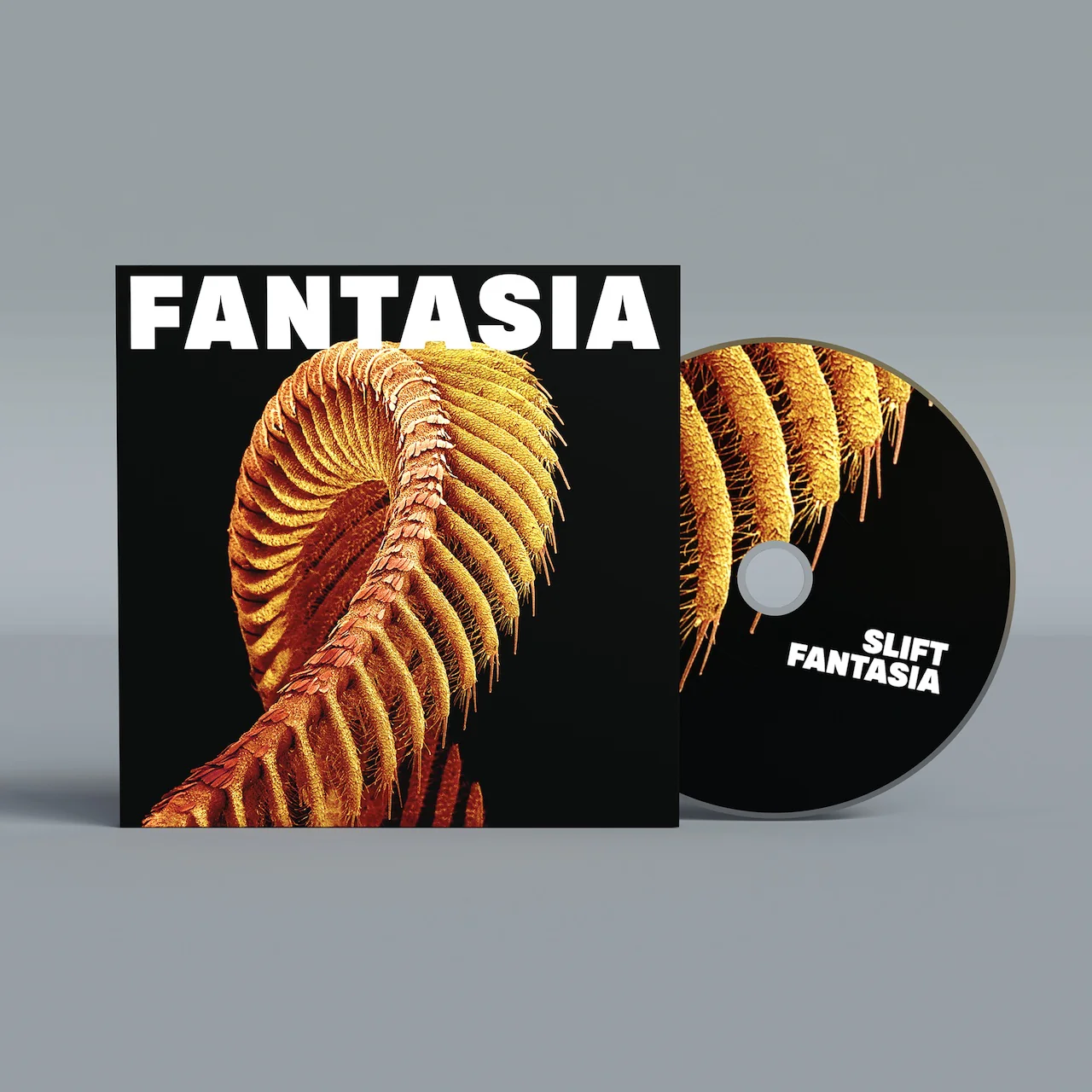 SLIFT, Fantasia (Sub Pop; SPCD1725, Europe 2026) CD NEW/NEW - PRE-ORDER - Image 2