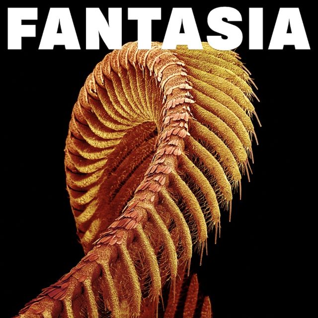 SLIFT, Fantasia (Sub Pop; SP1725X, Europe 2026, Loser Edition Sparkle Starlight Vinyl, Etched 4th Side) 2xLP NEW/NEW - PRE-ORDER