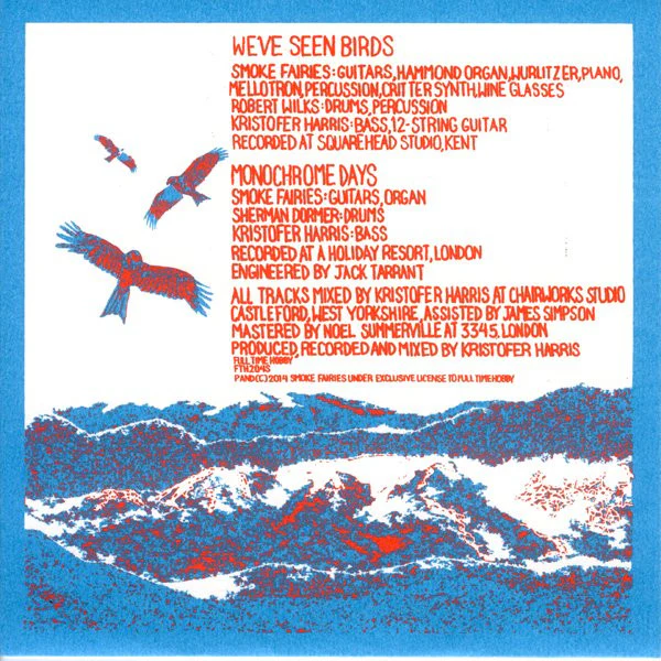 SMOKE FAIRIES, We've Seen Birds (Full Time Hobby; FTH204S, UK 2014, Silkscreened Wraparound Sleeve With Poly Outer, Limited To 500), SALE - Up to 50% Off the Original Price  7" VG+/VG - Image 2