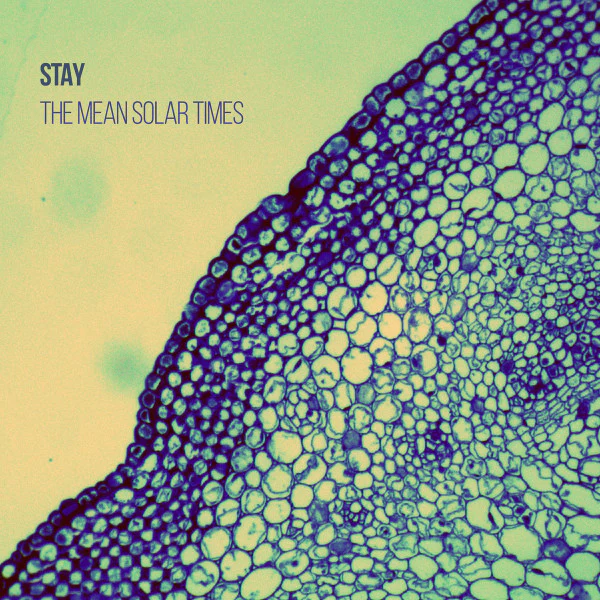 STAY, The Mean Solar Times (Picture In My Ear; PIME 0014, US 2016, Inner), SALE - Up to 50% Off the Original Price  LP EX/EX
