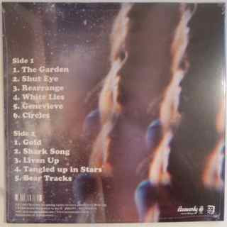 STEALING SHEEP, Into The Diamond Sun (Heavenly; HVNLP95, UK 2012, With CD) LP NEW/NEW - Image 2