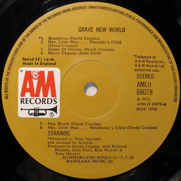 STRAWBS, Grave New World (A&M; AMLH68078, UK 1972, Triple Gatefold, Booklet), SALE - Up to 50% Off the Original Price  LP G+/G+ - Image 3