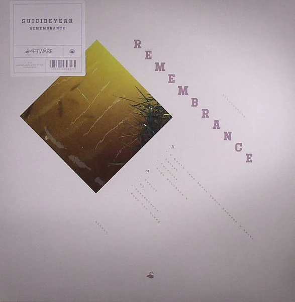 SUICIDEYEAR, Remembrance (Software; SFT043, US 2014, Picture Sleeve, Black Inner) LP VG+/EX