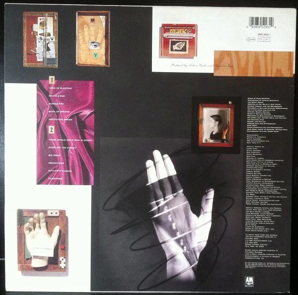 SUZANNE VEGA, Days Of Open Hand (A&M Records; 395 293-1, UK 1990, Inner) LP VG/VG+ - Image 2