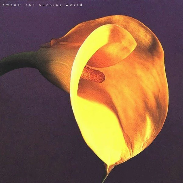SWANS, The Burning World (1972; if26, US 2014 Reissue, Inner, 180 Gram Vinyl) LP VG/VG