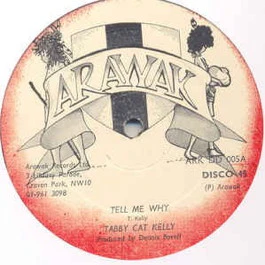 TABBY CAT KELLY , Don't Call Us Immigrants / Tell Me Why (Arawak; ARK DD 005, UK 1979, Plain Sleeve) 12" /G+