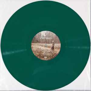 TAYLOR SWIFT, Evermore (Republic Records  ; 3565127, US 2021, Gatefold, 2 Inners, Opaque Green Vinyl) 2xLP NEW/NEW - Image 3