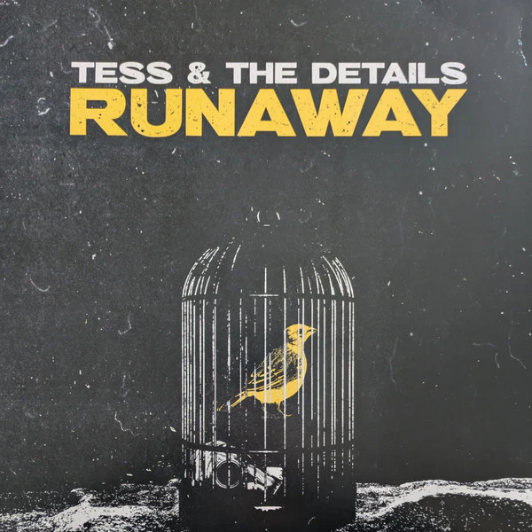 TESS & THE DETAILS, Runaway (Double Helix Records; DHR-235235-0015, US 2023, Gatefold, Booklet, Yellow w/ Black Splatter Vinyl, Ltd to 200, ex Useless ID), SALE - Up to 50% Off the Original LP VG+/VG+