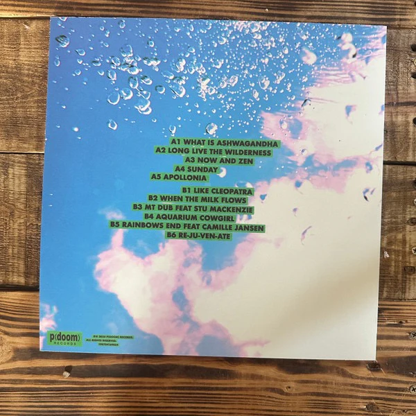 THE BABE RAINBOW, Slipper Imp And Shakaerator (p(doom) records; 198704274770, Canada 2025, Inner, Laguna Blue Vinyl), SALE - Up to 50% Off the Original Price LP NEW/NEW - Image 2