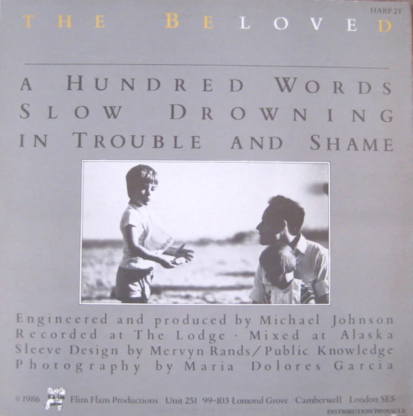 THE BELOVED, A Hundred Words (Flim Flam Productions; HARP 2T, UK 1986, Picture Sleeve) 12" VG/VG - Image 2