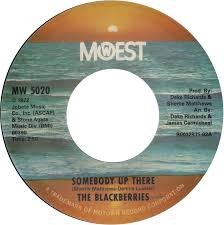 THE BLACKBERRIES, Somebody Up There / But I LOve You More (Mowest; MW 5020, US 2013) 7" /EX