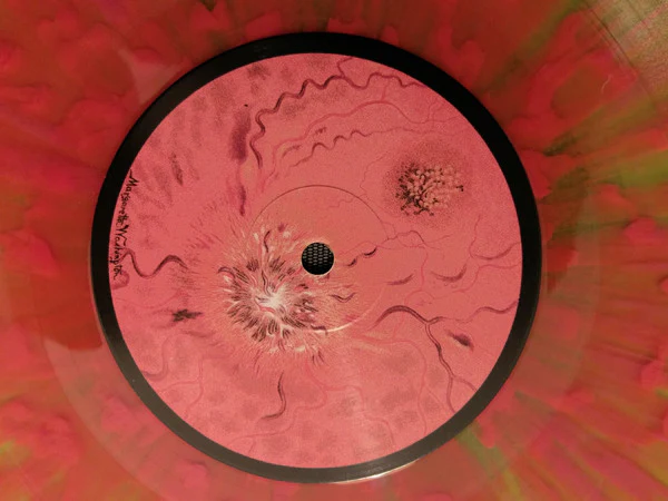 THE BOOKS, The Lemon Of Pink (Temporary Residence Limited ; TRR181 VMP, US 2016 Reissue, Die Cut Gatefold, Inner & Booklet , Yellow/Pink Splatter Vinyl) LP EX/EX - Image 3