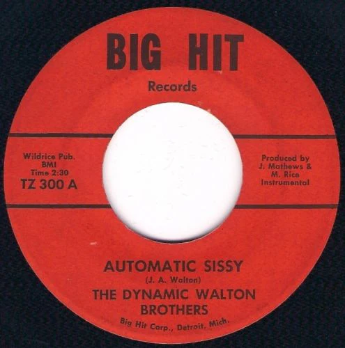 THE DYNAMIC WALTON BROTHERS, Automatic Sissy / Automatic Sissy (Big Hit Records; TZ 300, US ) 7" /VG+