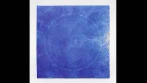 THE NATURAL CURRICULUM, The Best Fertiliser Is The Gardener's Shadow (The Natural Curriculum; TNC0009, UK 2016, Inner) LP EX/EX - Image 2
