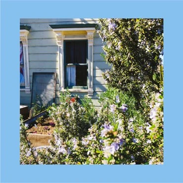 THE REDS, PINKS AND PURPLES, Anxiety Art (; TLV144LP, US 2021 Reissue, Inner, Pastel Blue Vinyl, Ltd Ed. 1000) LP VG+/VG+