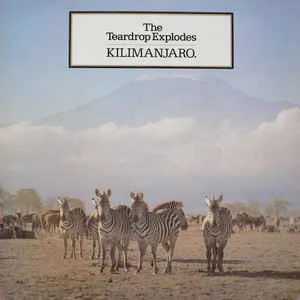 THE TEARDROP EXPLODES, Kilimanjaro (Mercury; 6359 035, UK 1981 Reissue, Inner, Zebras Sleeve, Julian Cope photo on inner) LP VG/VG
