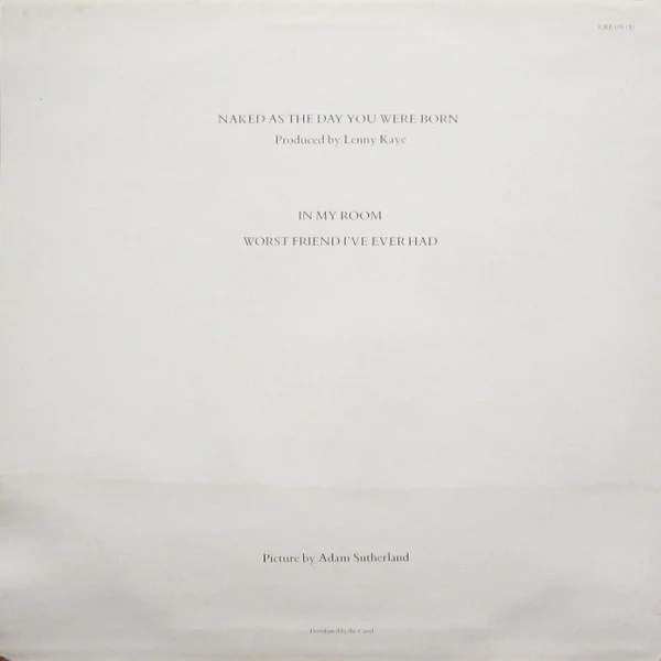 THE WEATHER PROPHETS, Naked As The Day You Were Born (Creation Records; CRE 031(T), UK 1986, Picture Sleeve) 12" VG/VG - Image 2