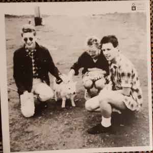 THE WEE CHERUBS, Dreaming (Optic Nerve Recordings; ON212, UK 2020 Reissue, Gatefold, With Poster & Postcard, Translucent Grey Vinyl) 7" EX/EX - Image 2