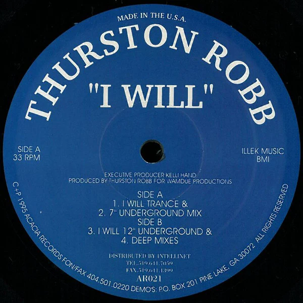 THURSTON ROBB, I Will (Acacia Records; AR021, US 1995), SALE - Up to 50% Off the Original Price  12" /VG