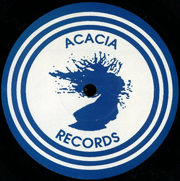 THURSTON ROBB, I Will (Acacia Records; AR021, US 1995), SALE - Up to 50% Off the Original Price  12" /VG - Image 2