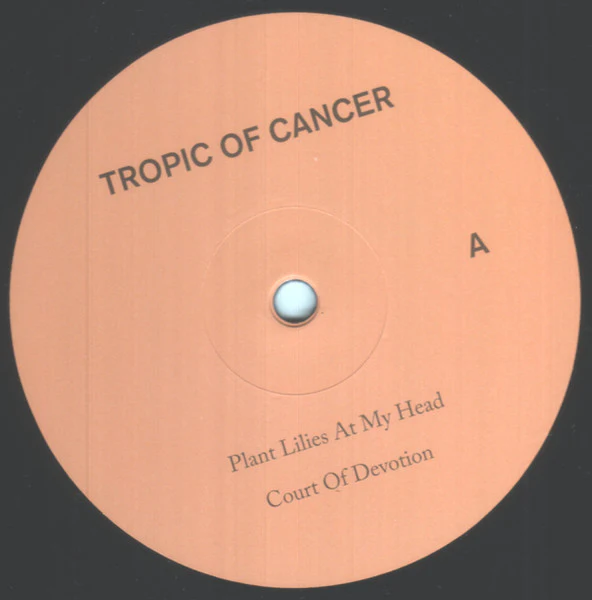 TROPIC OF CANCER, Restless Idylls (Blackest Ever Black ; BLACKESTLP005, UK 2013, Gatefold) 2xLP VG+/VG+ - Image 3