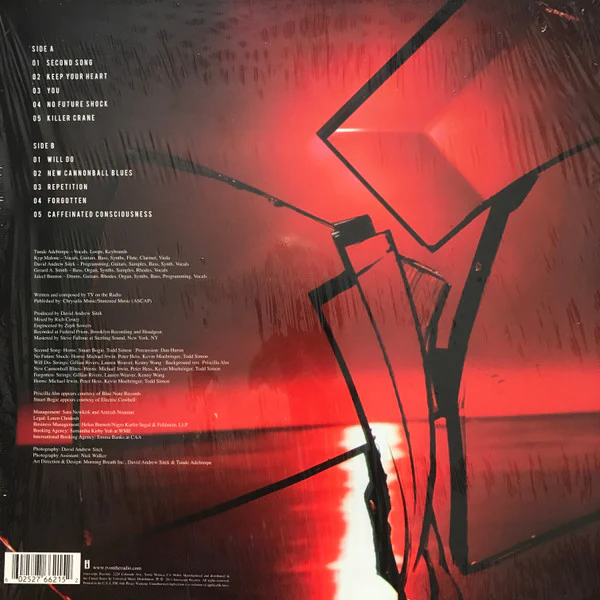 TV ON THE RADIO, Nine Types Of Light (Interscope Records; B0015455-01, US 2011, 180 Gram Vinyl) LP VG/VG - Image 2