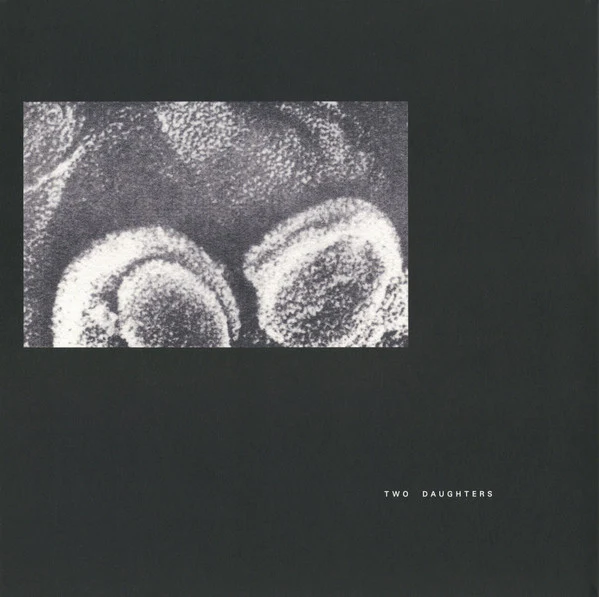 TWO DAUGHTERS, Recordings 1979-1981 (Vinyl-on-demand; VOD156, Germany 2019, Gatefold, Insert, Limited Edition, Numbered) 2xLP VG+/VG+ - Image 2