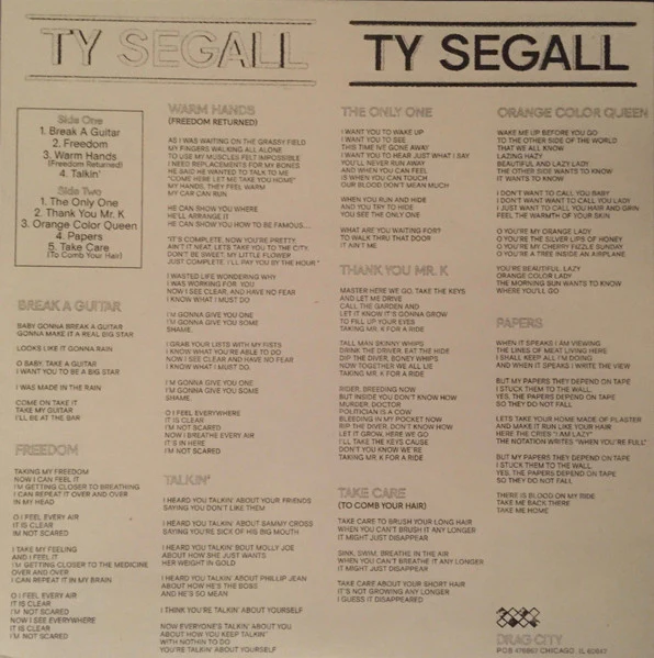 TY SEGALL, Ty Segall (Drag City ; DC658, US 2017, Pasteback Gatefold) LP VG+/VG+ - Image 2