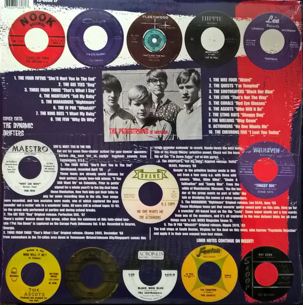 VARIOUS, She'll Hurt You In The End (Teenage Shutdown; LPTS6608, US 1998, Insert) LP VG+/VG+ - Image 2