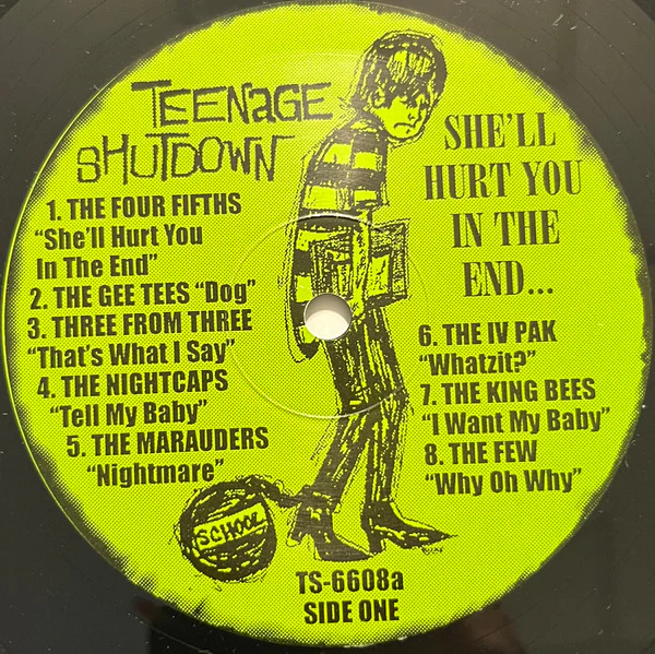 VARIOUS, She'll Hurt You In The End (Teenage Shutdown; LPTS6608, US 1998, Insert) LP VG+/VG+ - Image 3